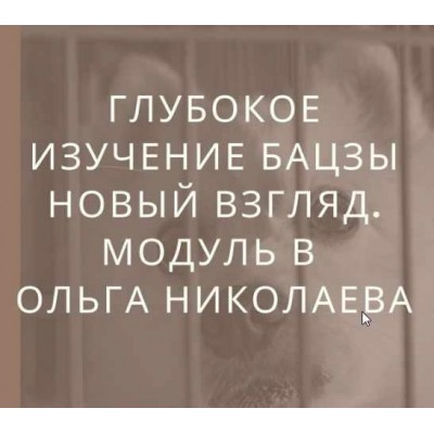 Глубокое изучение астрологии Ба Цзы. Новый взгляд. Модуль B. Ольга Николаева