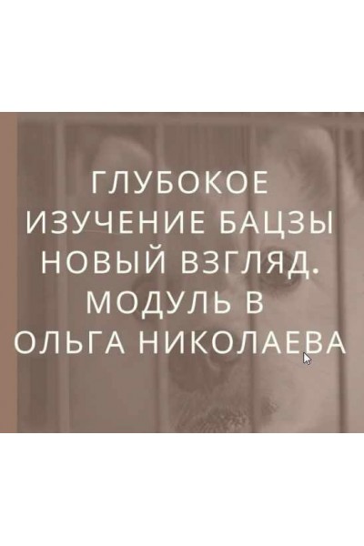 Глубокое изучение астрологии Ба Цзы. Новый взгляд. Модуль B. Ольга Николаева