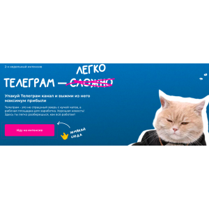Телеграм легко. Тариф Котик в телеграм . Тома Саркулова Тома Т