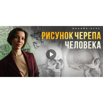 Рисунок черепа человека. Евгения Банник Академика