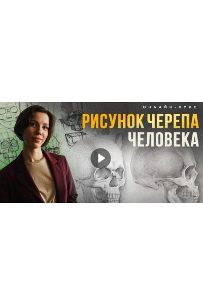 Рисунок черепа человека. Евгения Банник Академика