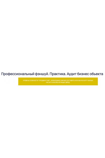 Профессиональный фэншуй. Практика. Аудит бизнес объекта. Ольга Николаева