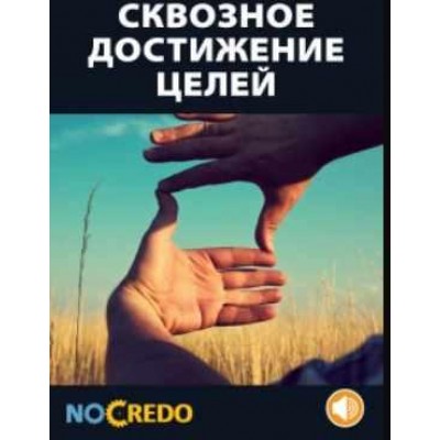 Сквозное достижение целей. Дмитрий Богданов NoCredo