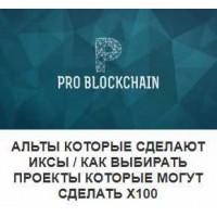 Альты которые сделают Иксы: Как выбирать проекты. Максим Бурков, Вячеслав Носко Problockchain