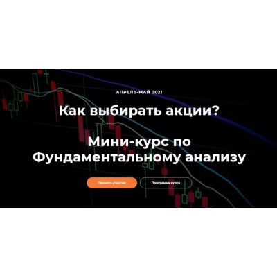 Мини-курс по фундаментальному анализу. Светлана Шишкина, Анна Харитонова