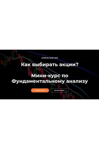 Мини-курс по фундаментальному анализу. Светлана Шишкина, Анна Харитонова