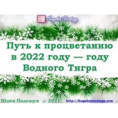 Путь к Процветанию в 2022 году - году Водного Тигра. Юлия Полещук Fengshui Strategy