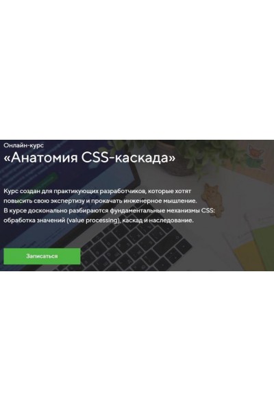 Онлайн-курс «Анатомия CSS-каскада». НТМL Academy