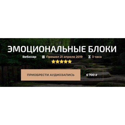 Вебинар «Эмоциональные блоки». Александр Палиенко