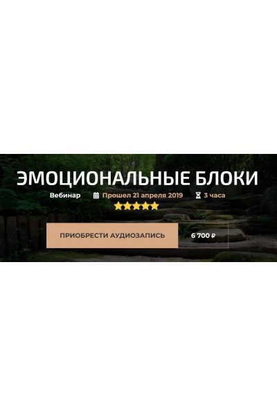 Вебинар «Эмоциональные блоки». Александр Палиенко