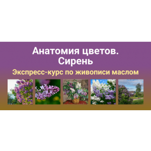Анатомия цветов. Сирень. Татьяна Зубова ZartSchool Анатомия цветов. Сирень. Татьяна Зубова ZartSchool