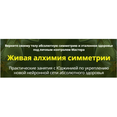 Живая алхимия симметрии сеанс 5 и 6. Юджиния Квант