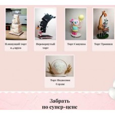 Уроки из легендарного курса Мастер антигравитации. Выгодное комби. Евгения Волошина