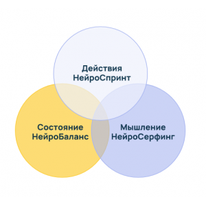 Сертификационная программа Neurointegration Fundamentals NIF. Катерина Ленгольд