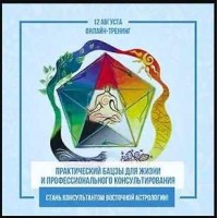 Практический Ба Цзы для жизни и профессионального консультирования. Ольга Николаева