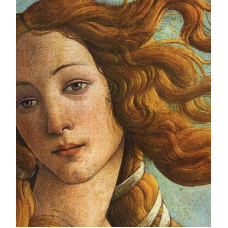 Рождение Афродиты. Практика об осознании женской силы и красоты. Марьяна Романова