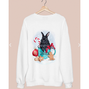 Символ 2023 года - черный кролик. Анастасия Косьянова Kosyanova school