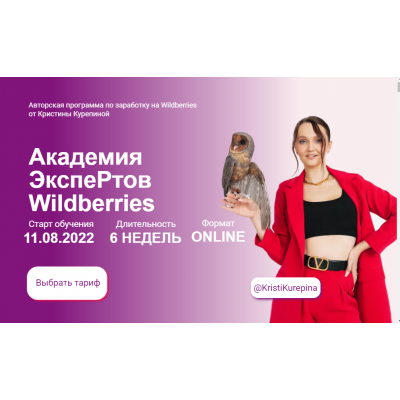 Академия экспертов Wildberries. Тариф Старт. Кристина Курепина