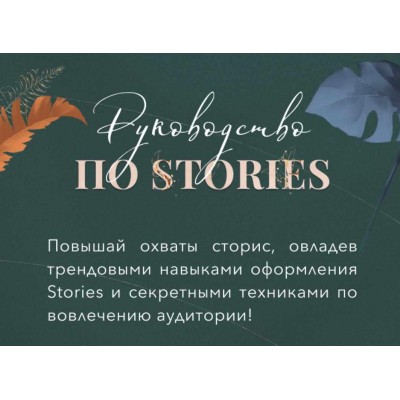 Руководство по stories. Lite-версия. Катерина Алешина