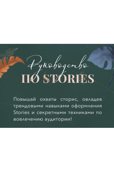 Руководство по stories. Lite-версия. Катерина Алешина