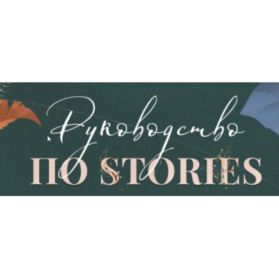 Руководство по stories. Pro-версия. Катерина Алешина