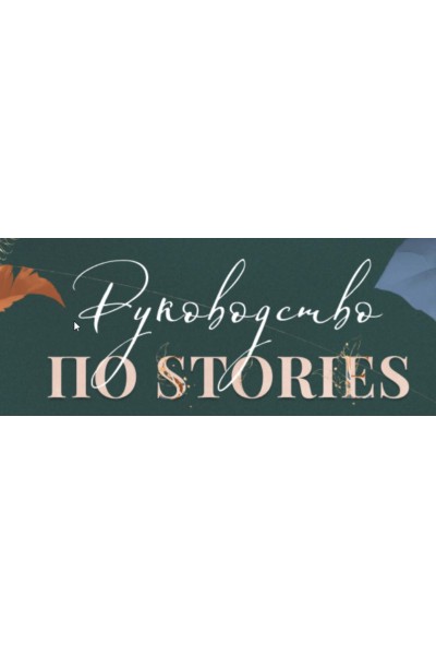 Руководство по stories. Pro-версия. Катерина Алешина