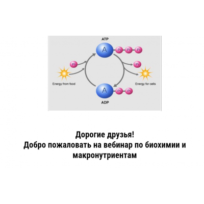 Биохимия. Дмитрий Путылин