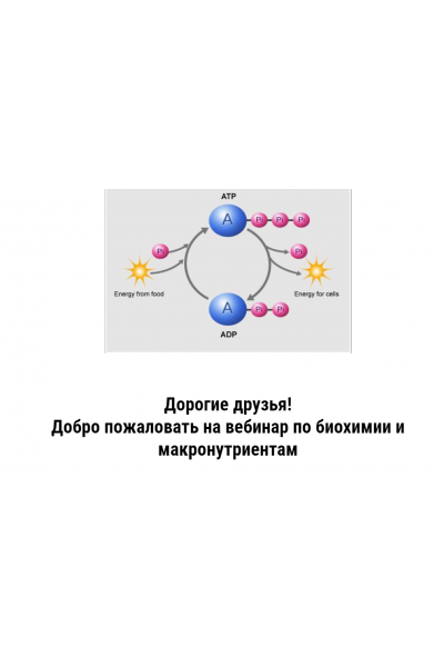 Биохимия. Дмитрий Путылин