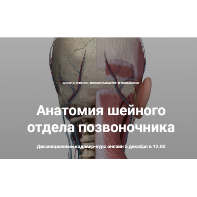 Анатомия шейного отдела позвоночника. Антон Епифанов, Михаил Касаткин