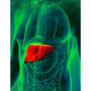 Тренинг "Стихия дерева". Шаг №1. Исцеление печени и желчного пузыря. Блок ВИП. Владимир Осипов