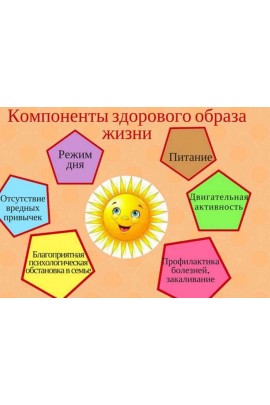 Конспекты для ЗОЖ-лагеря. Нина Окнянская, Юлия Белоцерковская Ивантер плюс