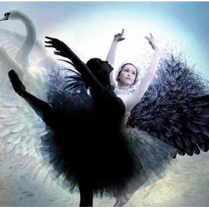 Интеграция Тени. Наталья Приймаченко Интеграция Тени. Наталья Приймаченко