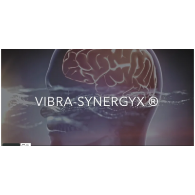 Vibra-Synergyx. Александр Клинг