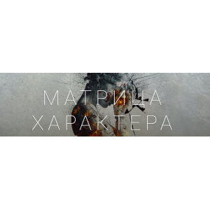 Матрица характера. Тариф Премиум. Екатерина Лим Psy4Life