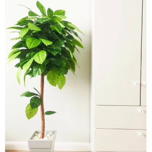 Искусственное дерево своими руками. Кристина Хафизова Искусственное дерево своими руками. Кристина Хафизова