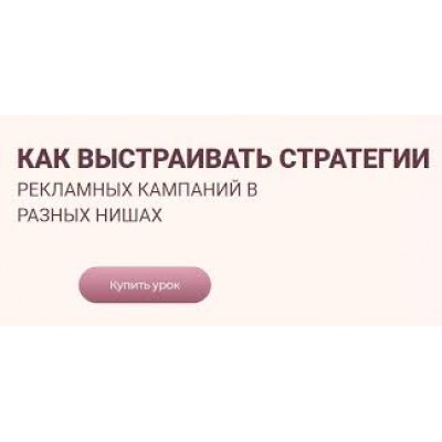 Как выстраивать стратегии рекламных кампаний в разных нишах. Лилия Жаркова