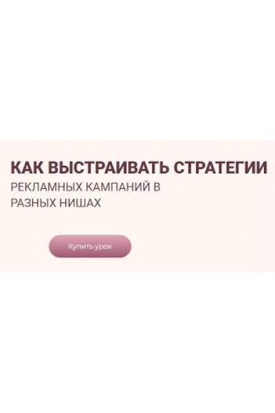 Как выстраивать стратегии рекламных кампаний в разных нишах. Лилия Жаркова