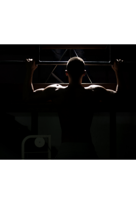 Автоматические подтягивания. Morpheus Fields