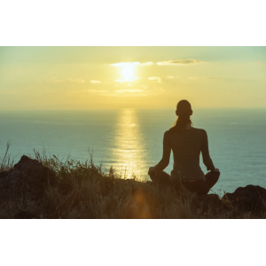 Величайший в мире целитель. Morpheus Fields