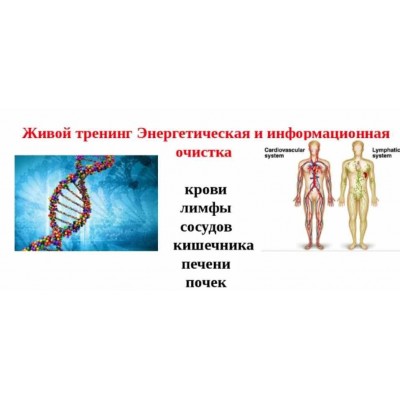 Энергетическая и информационная очистка. Ольга Макарчук