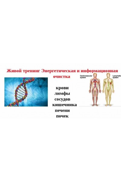 Энергетическая и информационная очистка. Ольга Макарчук