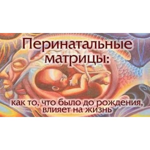 Перинатальные матрицы. Евгения Кузнецова Перинатальные матрицы. Евгения Кузнецова