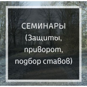 Приворот. Семинар по рунической магии. Ольга Бушар