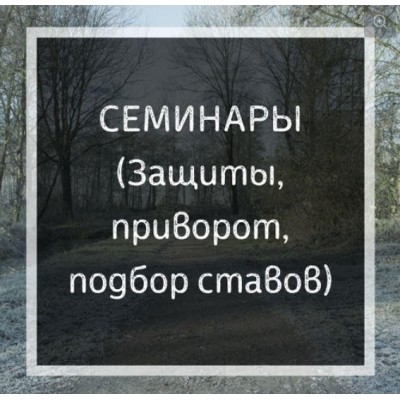 Приворот. Семинар по рунической магии. Ольга Бушар