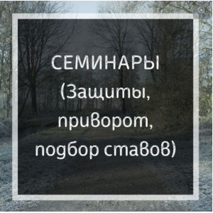 Диагностика ставов рунами. Ольга Бушар