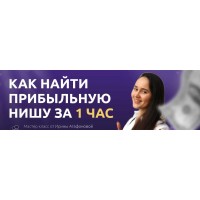 Как найти прибыльную нишу за 1 час. Ирина Агафонова