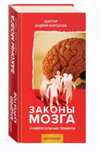 Законы мозга. Универсальные правила. Андрей Курпатов