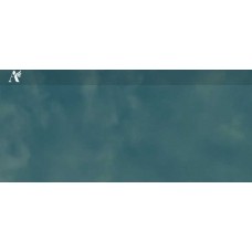 Хочу! Могу! Буду! Алуника Добровольская