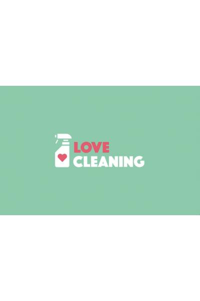 Love Cleaning. Как очистить пространство любви. Алуника Добровольская