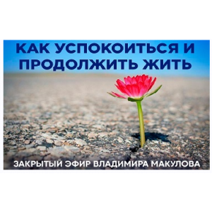 Как успокоиться и продолжить жить. Владимир Макулов